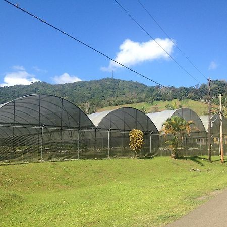 Parador Villas Sotomayor Adjuntas Exteriér fotografie
