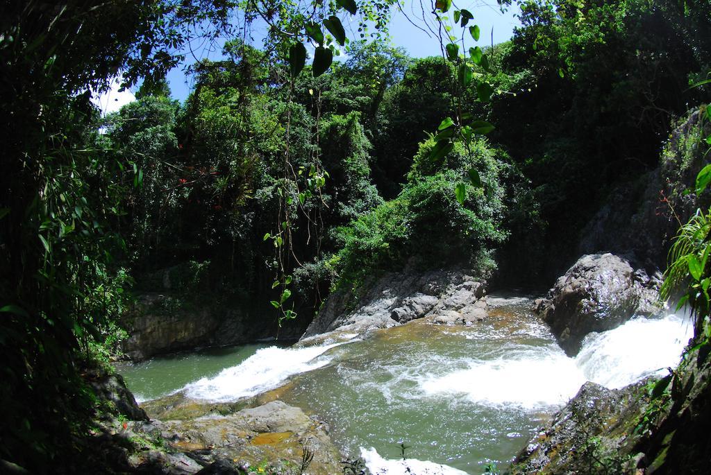 Parador Villas Sotomayor Adjuntas Exteriér fotografie